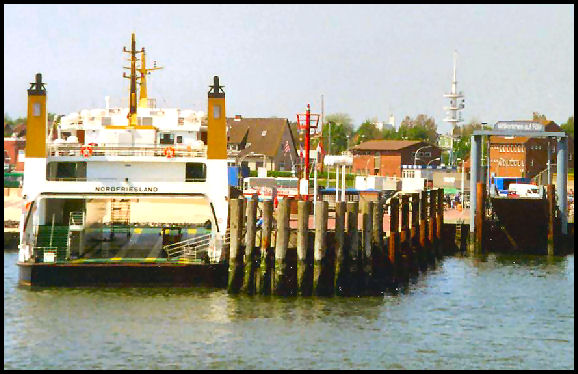 z2.jpg
